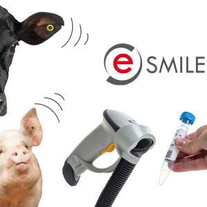 eSmile
